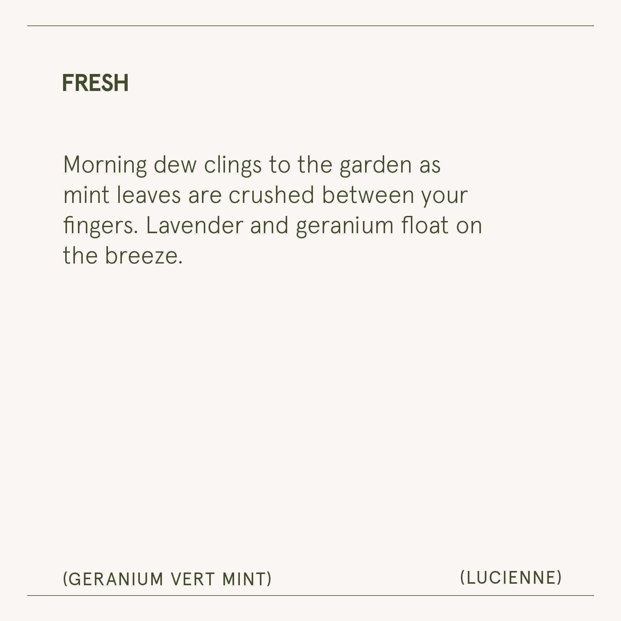 Lucienne - Geranium Vert Mint Candle Lucienne_GeraniumVertMint_PDP_15oz_7_c740a49f-ea79-404a-8da7-91ee4dfd7028 LA JOLIE MUSE