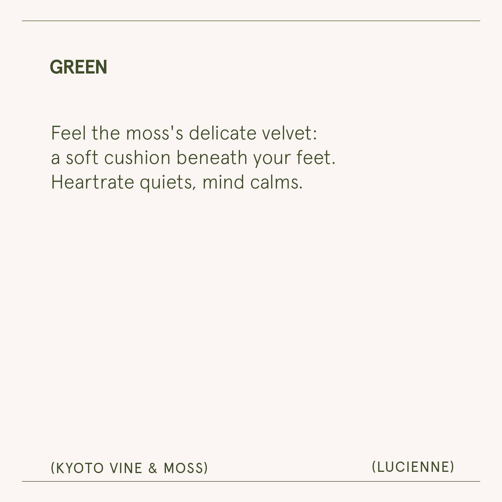 Lucienne - Kyoto Vine & Moss Candle Lucienne_KyotoVineMoss_PDP_8oz_7 LA JOLIE MUSE