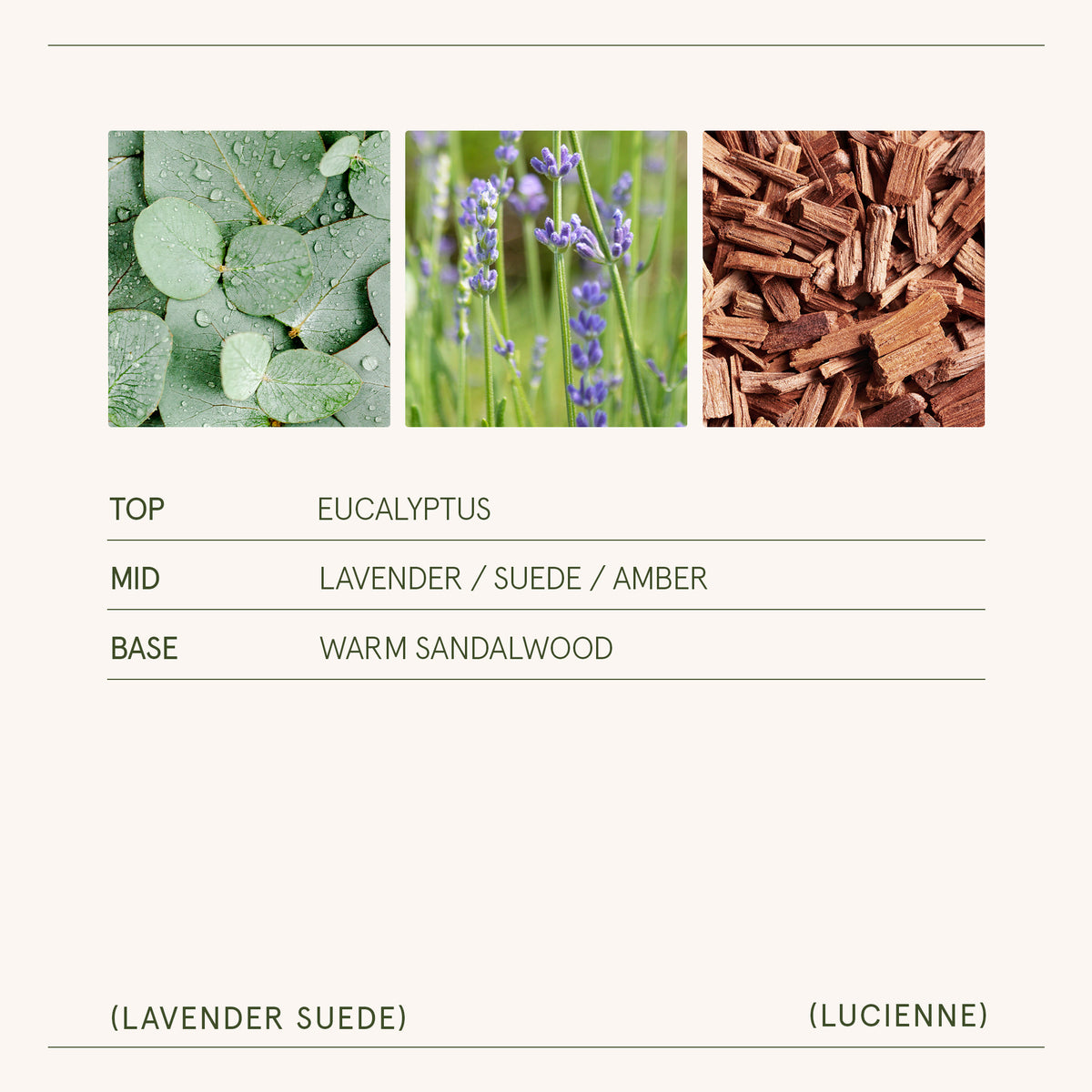 Lucienne - Lavender Suede Candle Lucienne_LavenderSuede_PDP_8oz_5 LA JOLIE MUSE