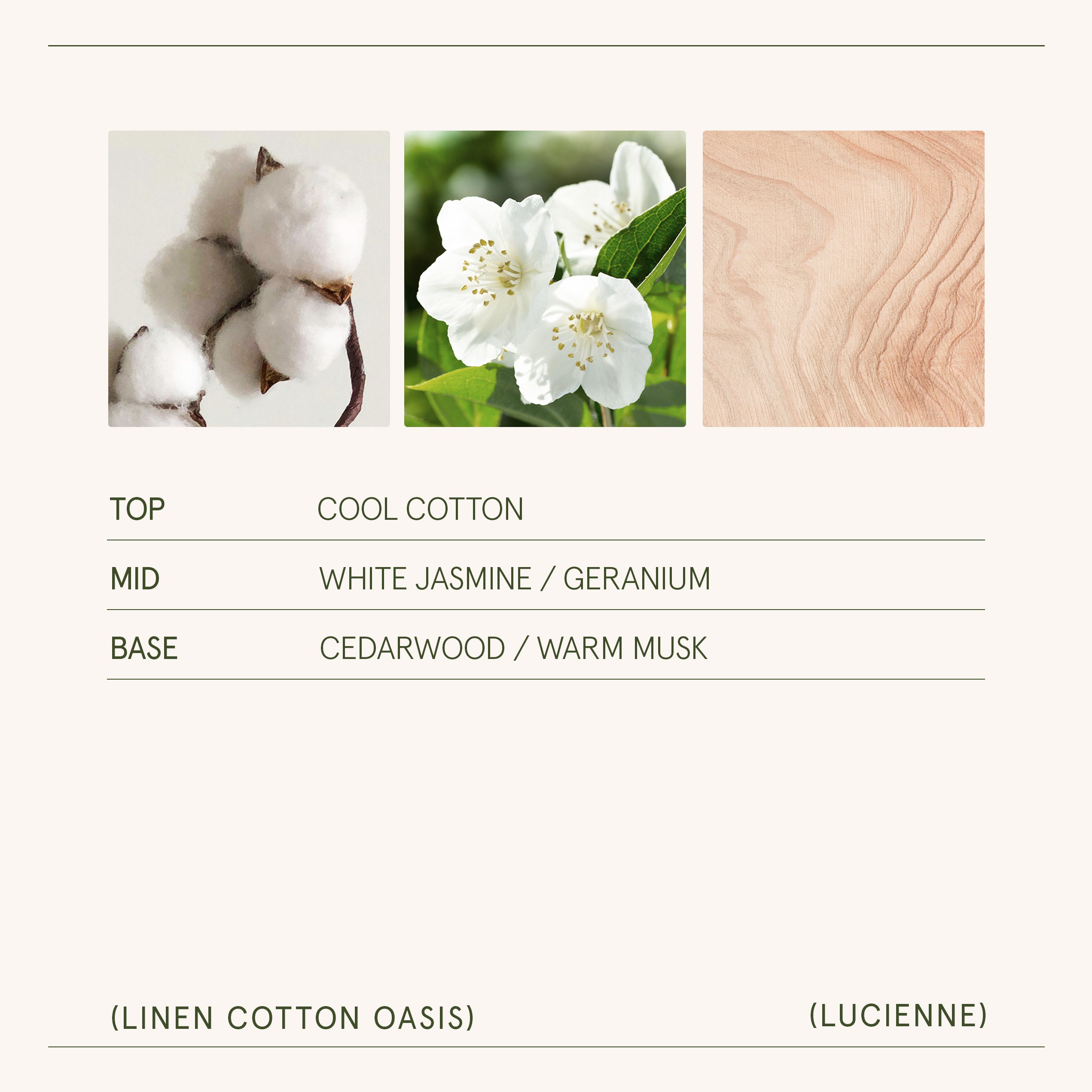 Lucienne - Linen Cotton Oasis Candle Lucienne_LinenCottonOasis_PDP_15oz_5_717ac629-3945-4aec-816b-1551191bdbca LA JOLIE MUSE