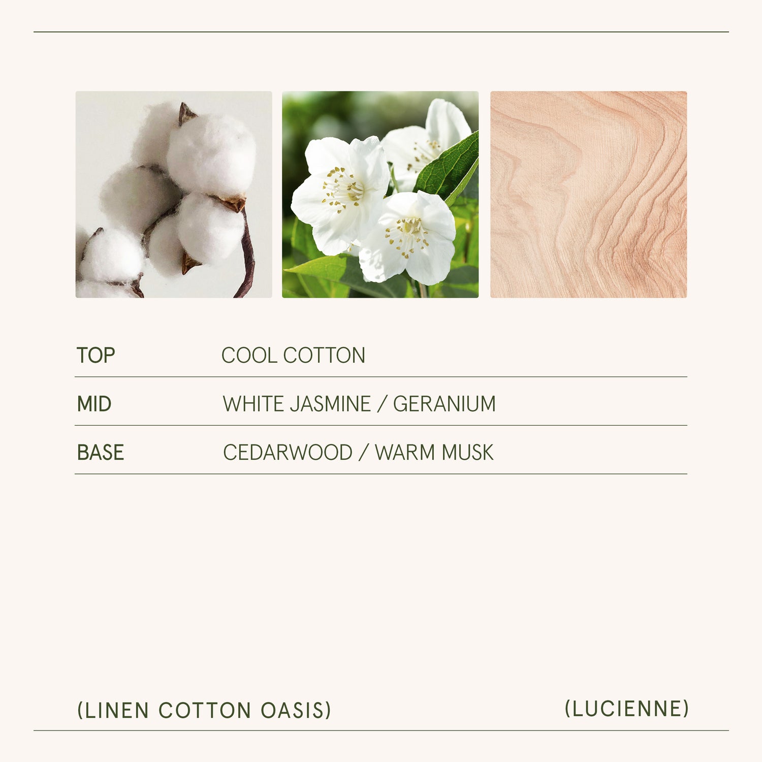 Lucienne - Linen Cotton Oasis Candle Lucienne_LinenCottonOasis_PDP_8oz_5 LA JOLIE MUSE