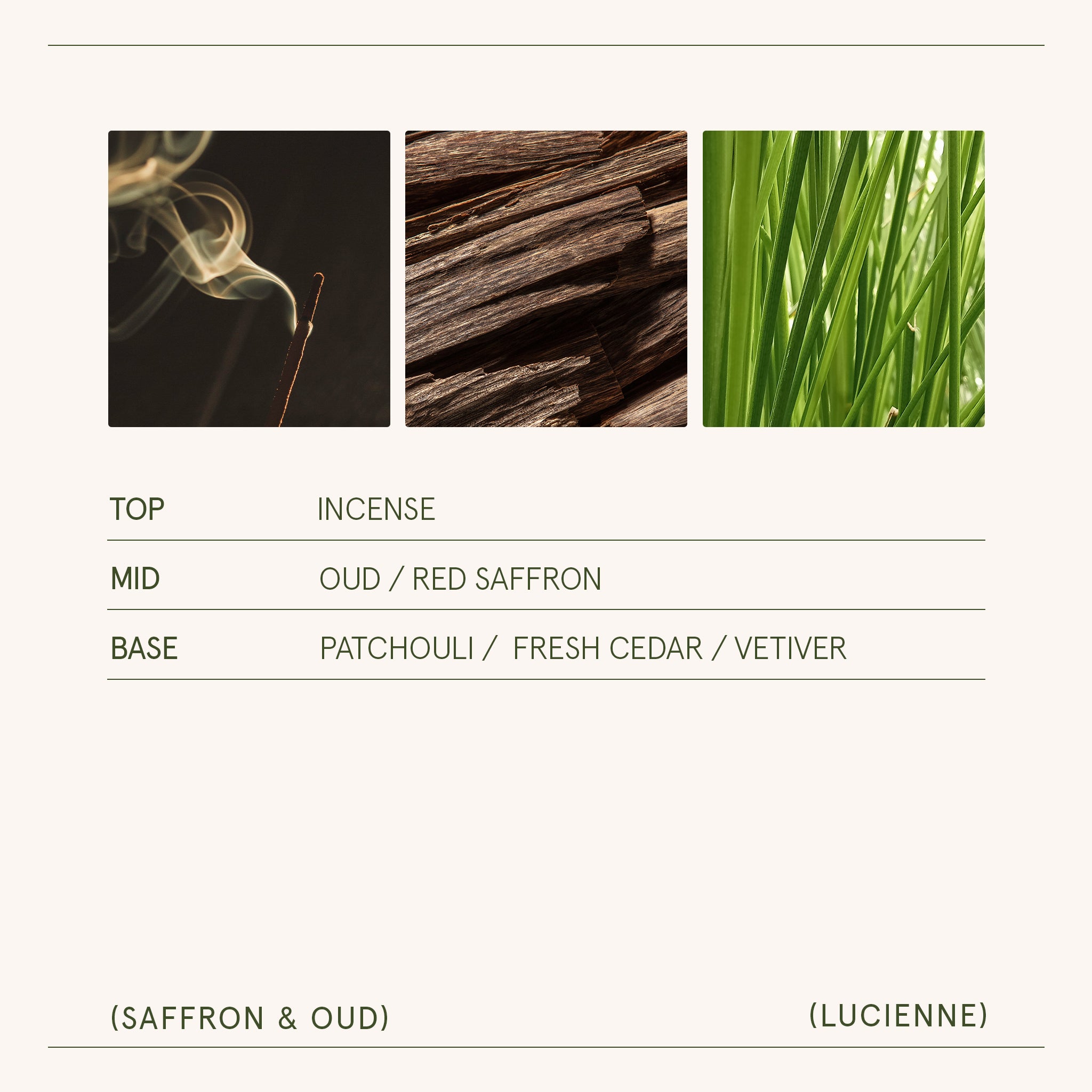 Lucienne - Saffron & Oud Candle Lucienne_SaffronOud_PDP_8oz_5 LA JOLIE MUSE