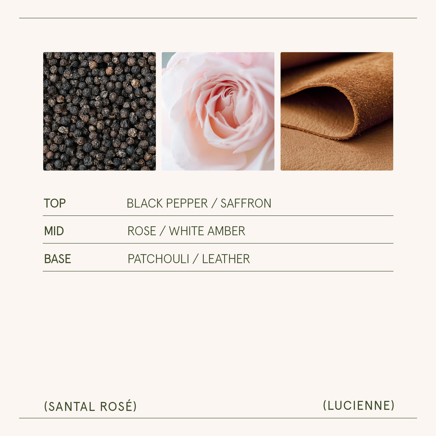 Lucienne - Santal Rosé Candle Lucienne_SantalRose_PDP_15oz_5 LA JOLIE MUSE