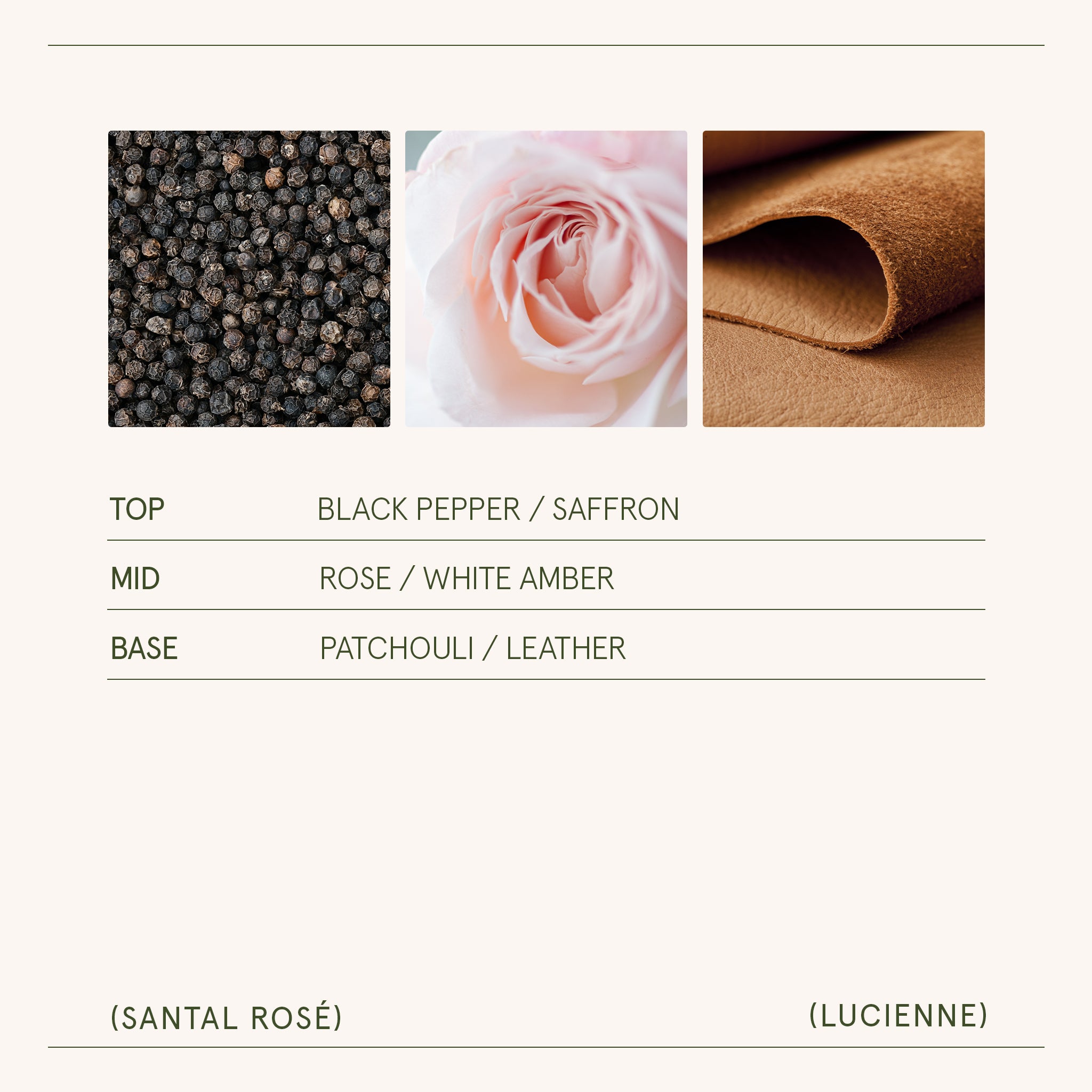 Lucienne - Santal Rosé Candle Lucienne_SantalRose_PDP_8oz_5 LA JOLIE MUSE