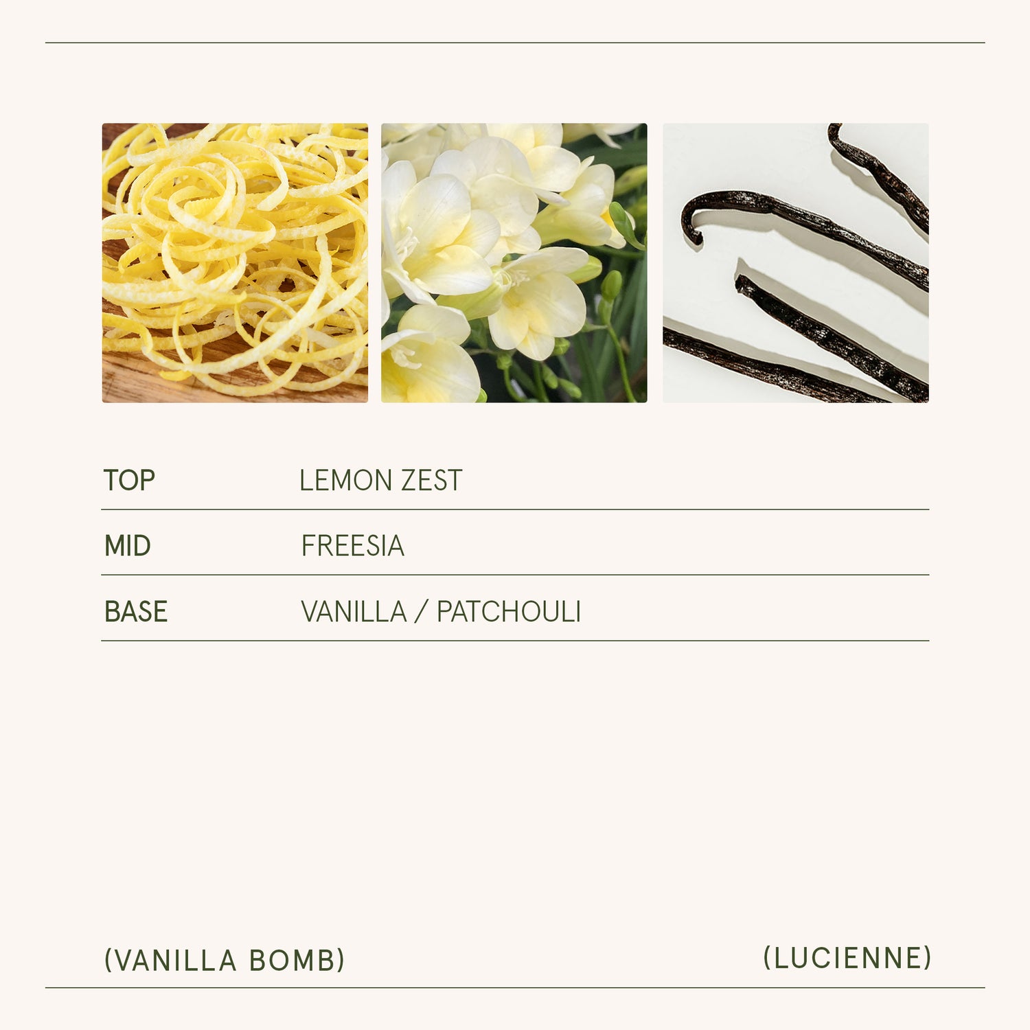 Lucienne - Vanilla Bomb Candle Lucienne_VanillaBomb_PDP_8oz_5 LA JOLIE MUSE