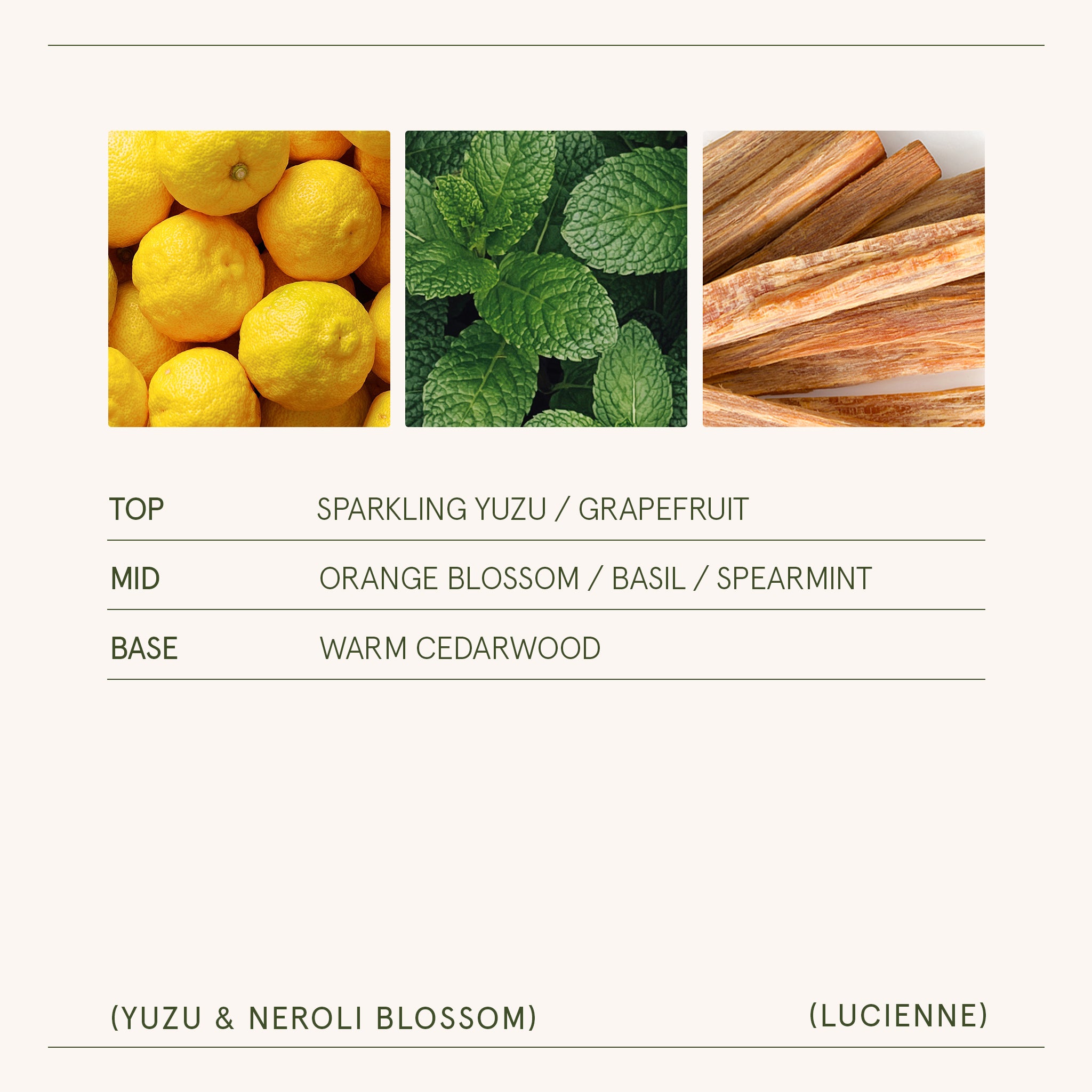 Lucienne - Yuzu & Neroli Blossom Candle Lucienne_YuzuNeroliBlossom_PDP_8oz_5 LA JOLIE MUSE