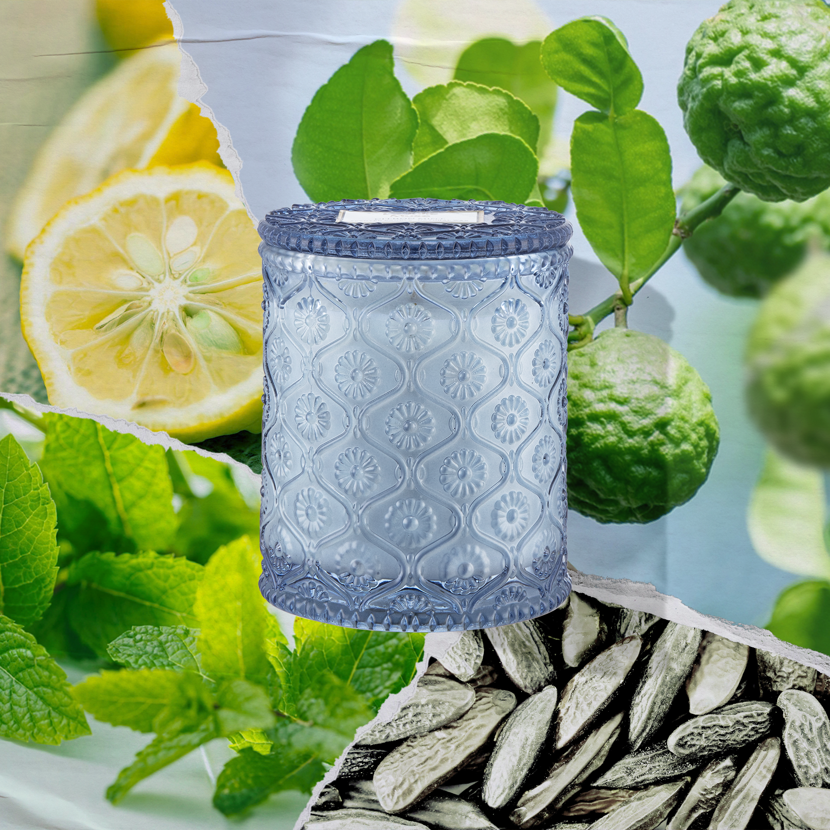 Maelyn - Citrus Mint 6oz Candle Candles Maelyn_CitrusMint_PDP_6oz_2 La Jolie Muse