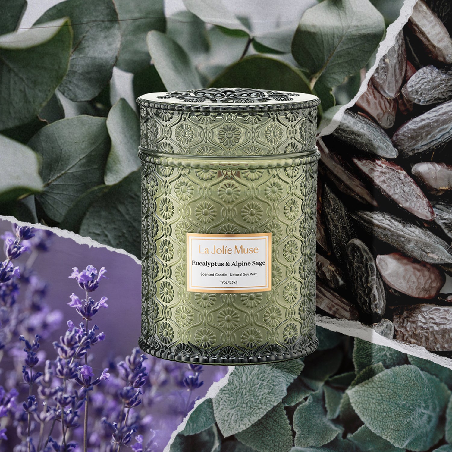 Maelyn - Eucalyptus & Alpine Sage 19oz Candle Candles Maelyn_EucalyptusAlpineSage_PDP_19oz_2 La Jolie Muse