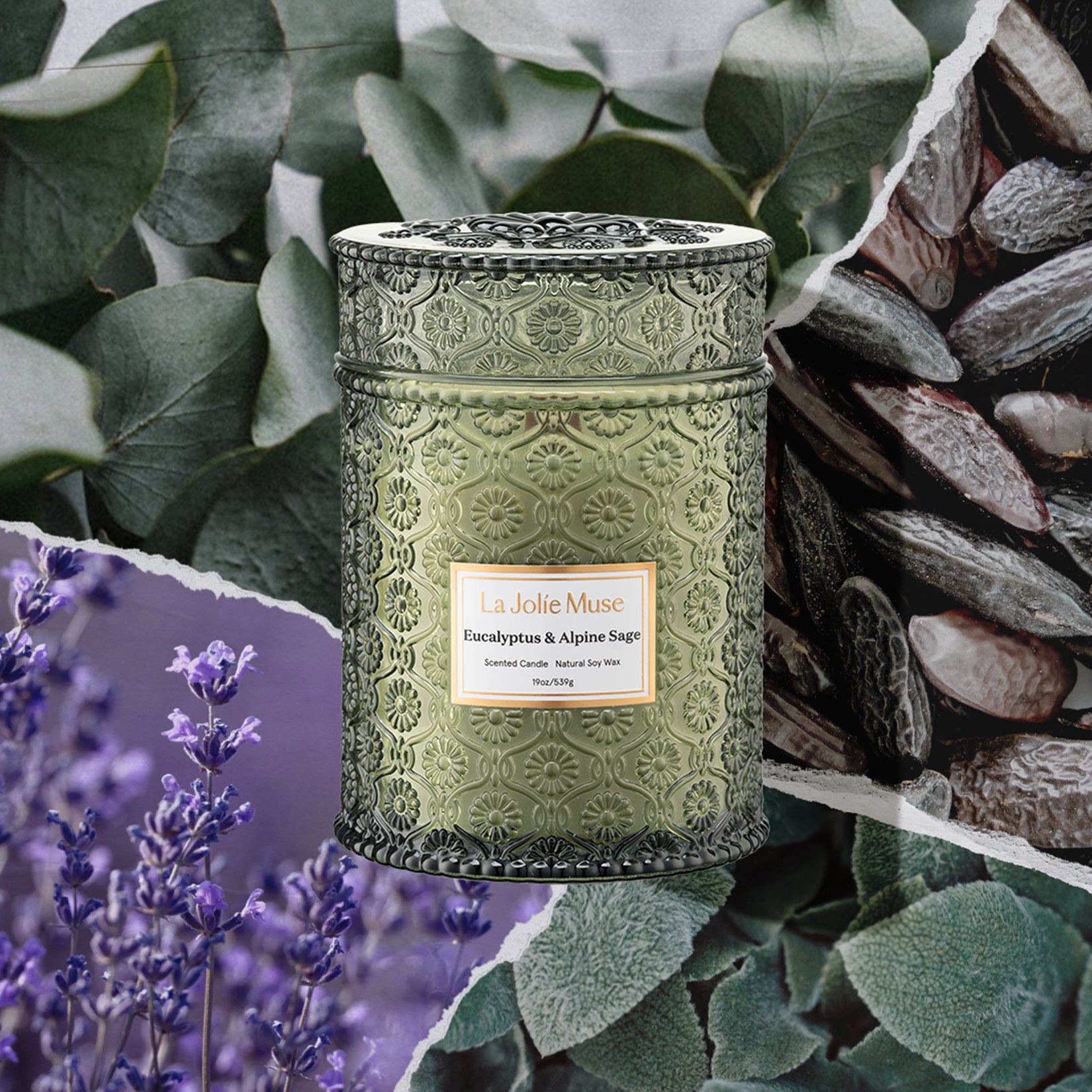 Maelyn - Eucalyptus & Alpine Sage 19oz Candle Candles Maelyn_EucalyptusAlpineSage_PDP_19oz_2 La Jolie Muse