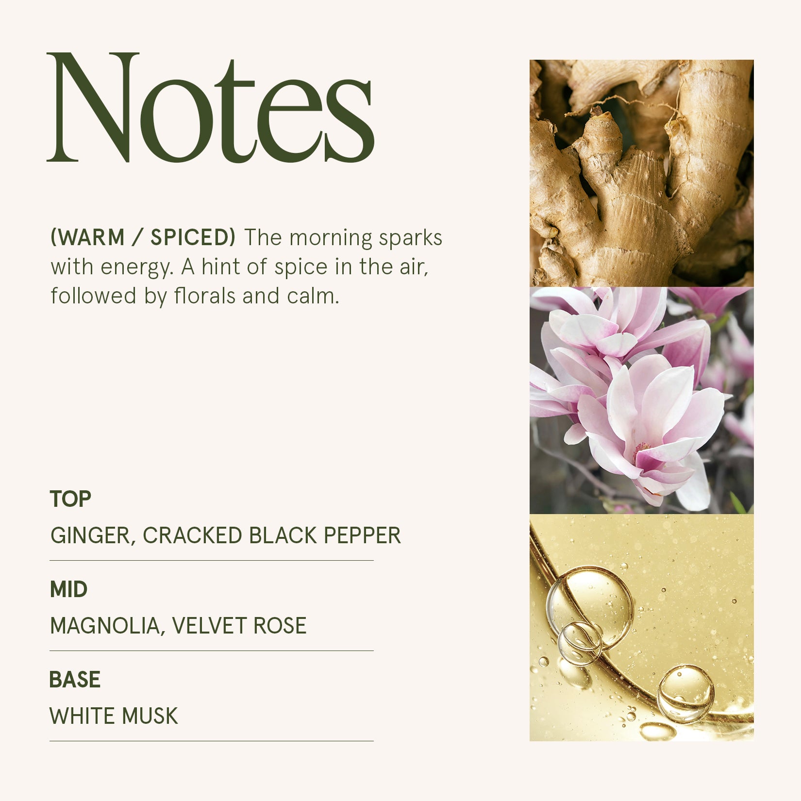 Maelyn - Ginger & White Musk 19oz Candle Candles Maelyn_GingerWhiteMusk_PDP_19oz_4 La Jolie Muse