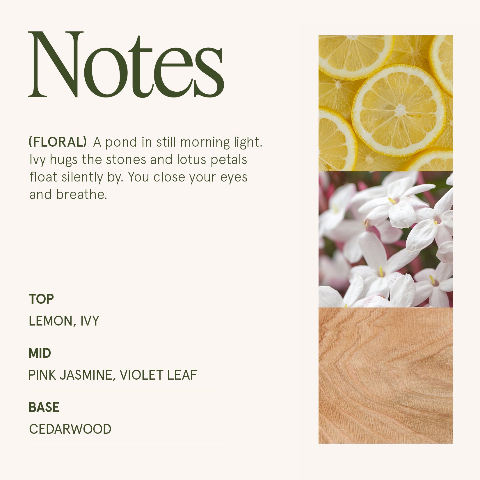 Maelyn - Jasmin du Lotus 19oz Candle Candles Maelyn_JasminduLotus_PDP_19oz_4 La Jolie Muse