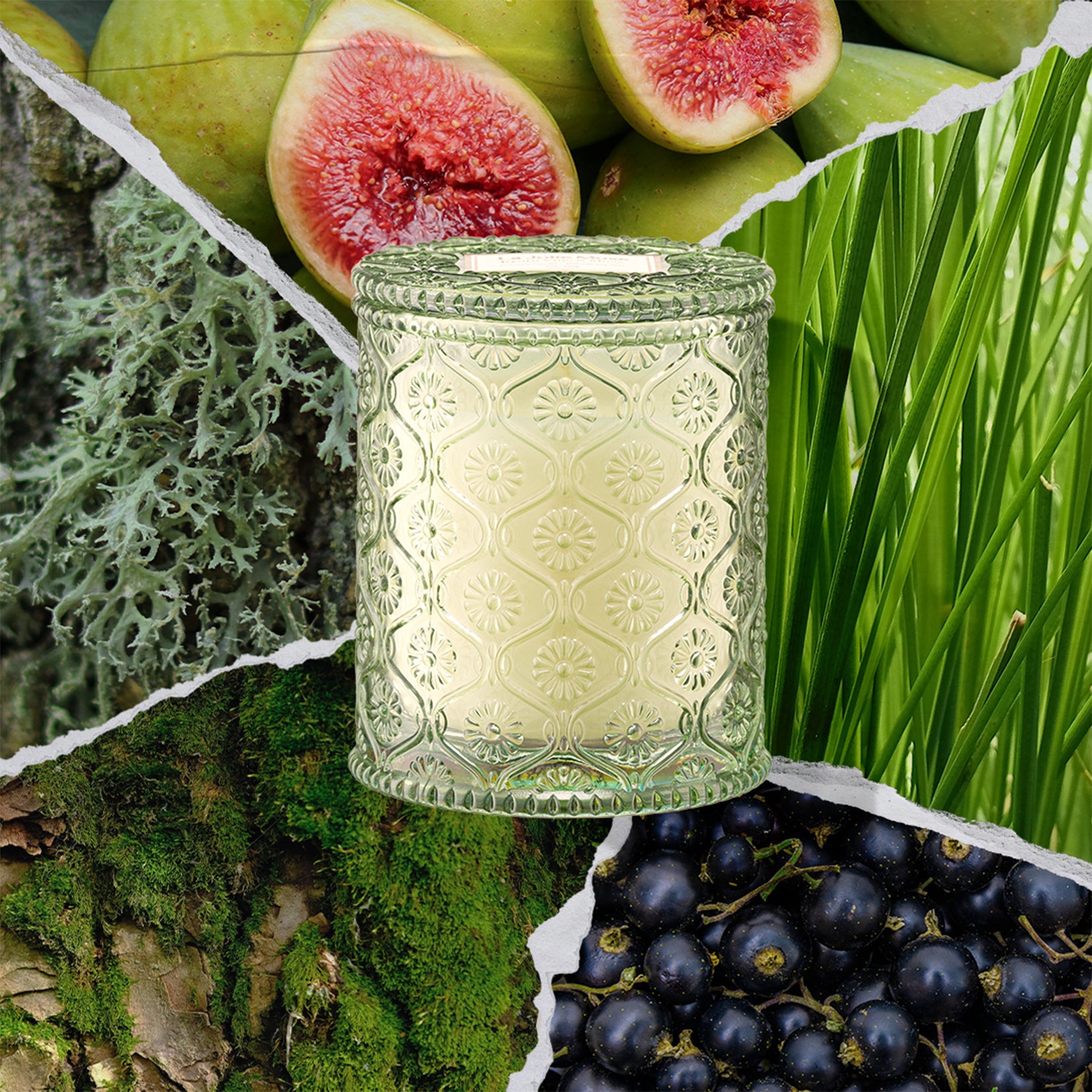 Maelyn - Kyoto Vine & Moss 6oz Candle Candles Maelyn_KyotoVineMoss_PDP_6oz_2 La Jolie Muse