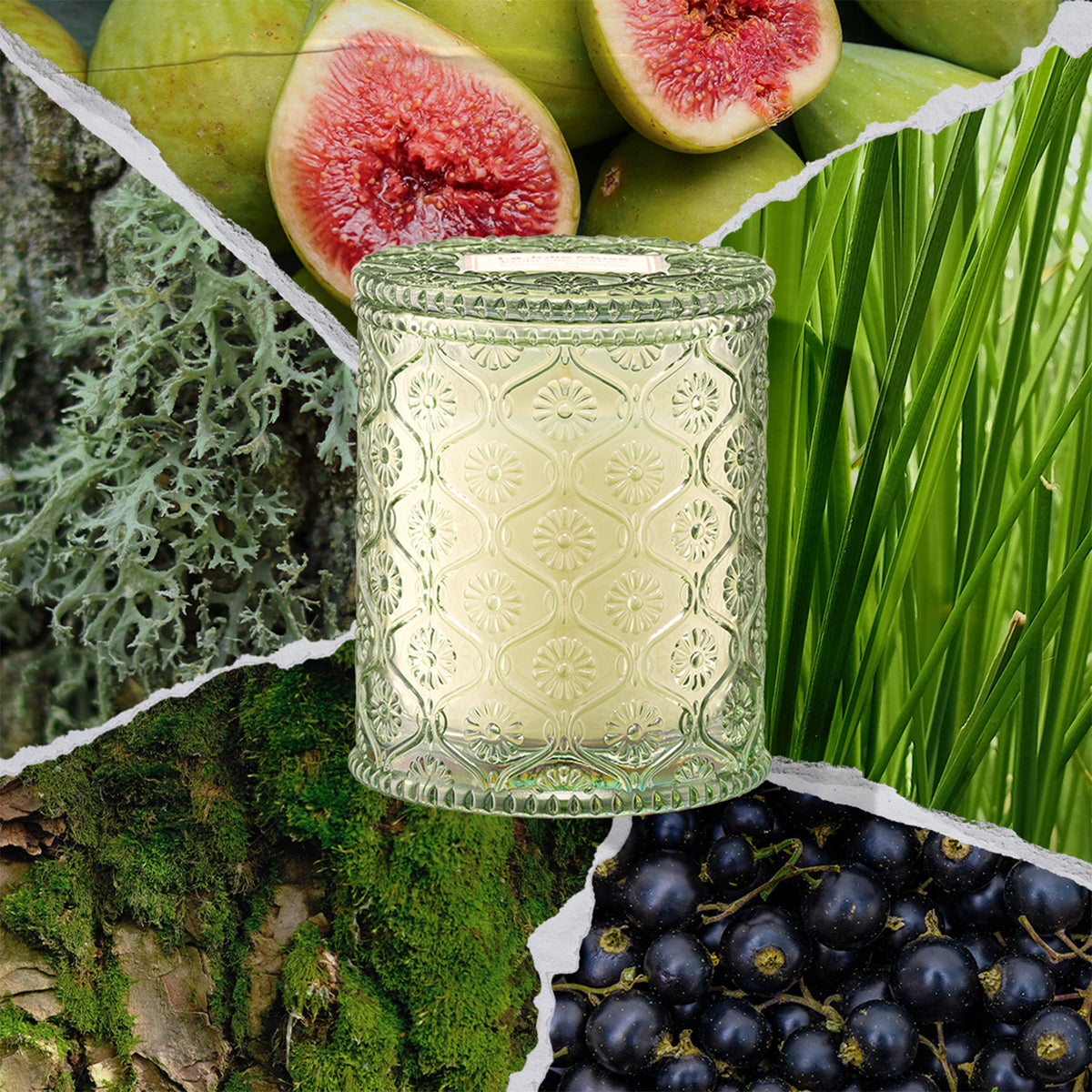 Maelyn - Kyoto Vine & Moss 6oz Candle Candles Maelyn_KyotoVineMoss_PDP_6oz_2 La Jolie Muse
