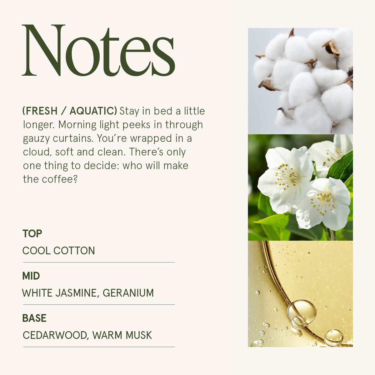 Maelyn - Linen Cotton Oasis 6oz Candle Candles Maelyn_LinenCottonOasis_PDP_6oz_4 La Jolie Muse