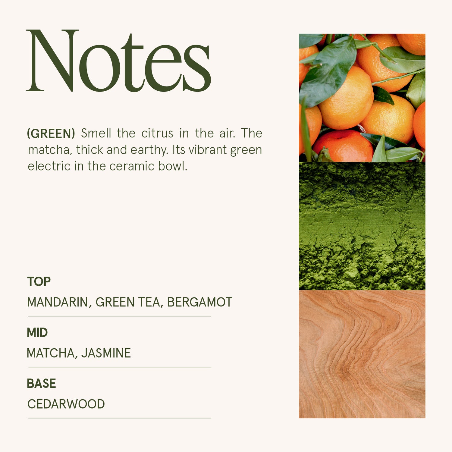 Maelyn - Mandarin Matcha 19oz Candle Candles Maelyn_MandarinMatcha_PDP_19oz_4 La Jolie Muse