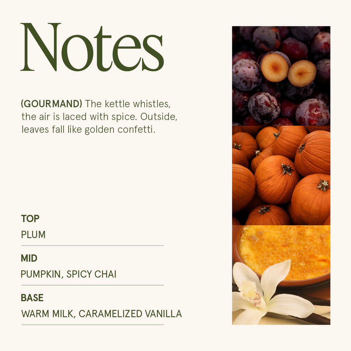 Maelyn - Pumpkin Chai 12oz Candle Candles Maelyn_PumpkinChai_PDP_12oz_4 La Jolie Muse