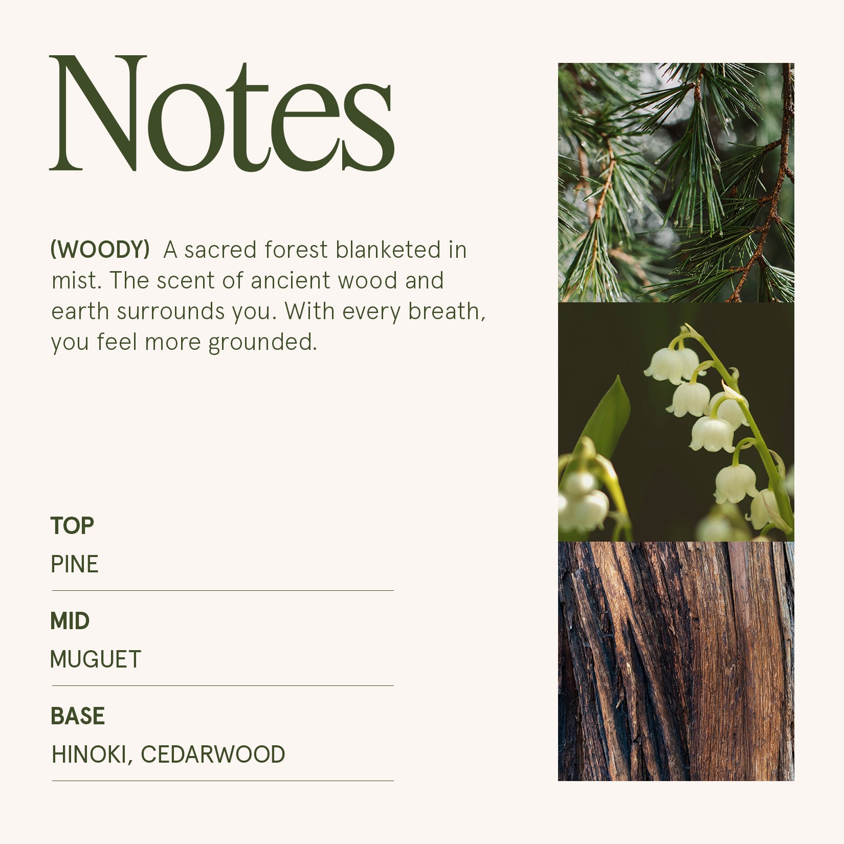 Maelyn - Kōya Hinoki & Cypress 19oz Candle Candles Maelyn_RubyBerryBliss_PDP_19oz_4 La Jolie Muse