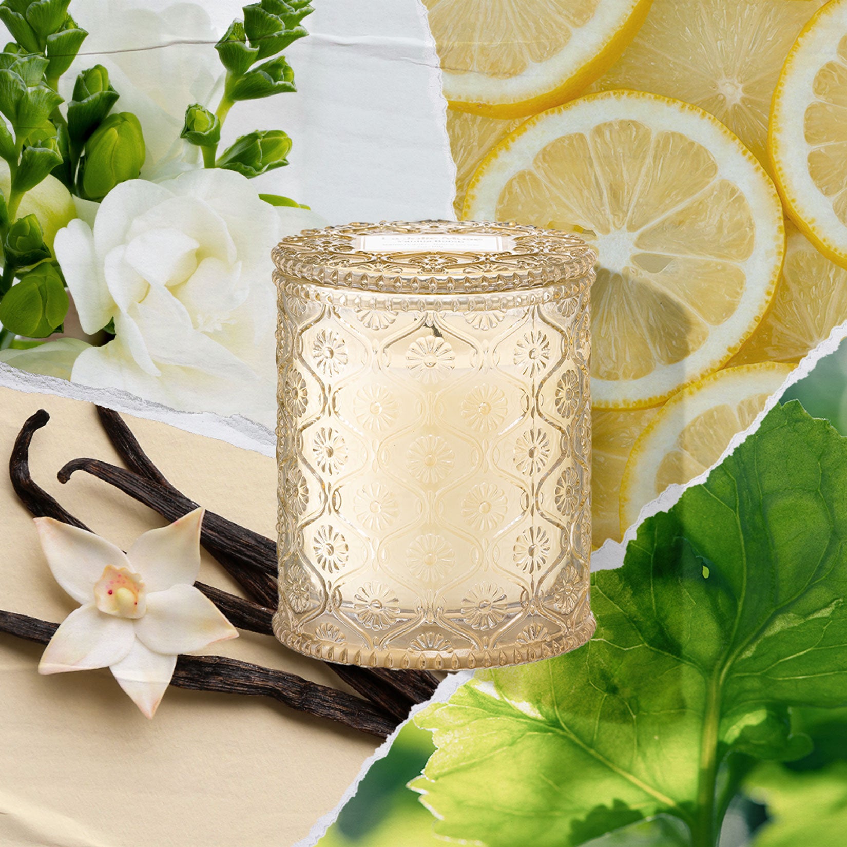 Maelyn - Vanilla Bomb 6oz Candle Candles Maelyn_VanillaBomb_PDP_6oz_2_139dd800-cf14-46f4-8b4e-ab660923d8a2 La Jolie Muse