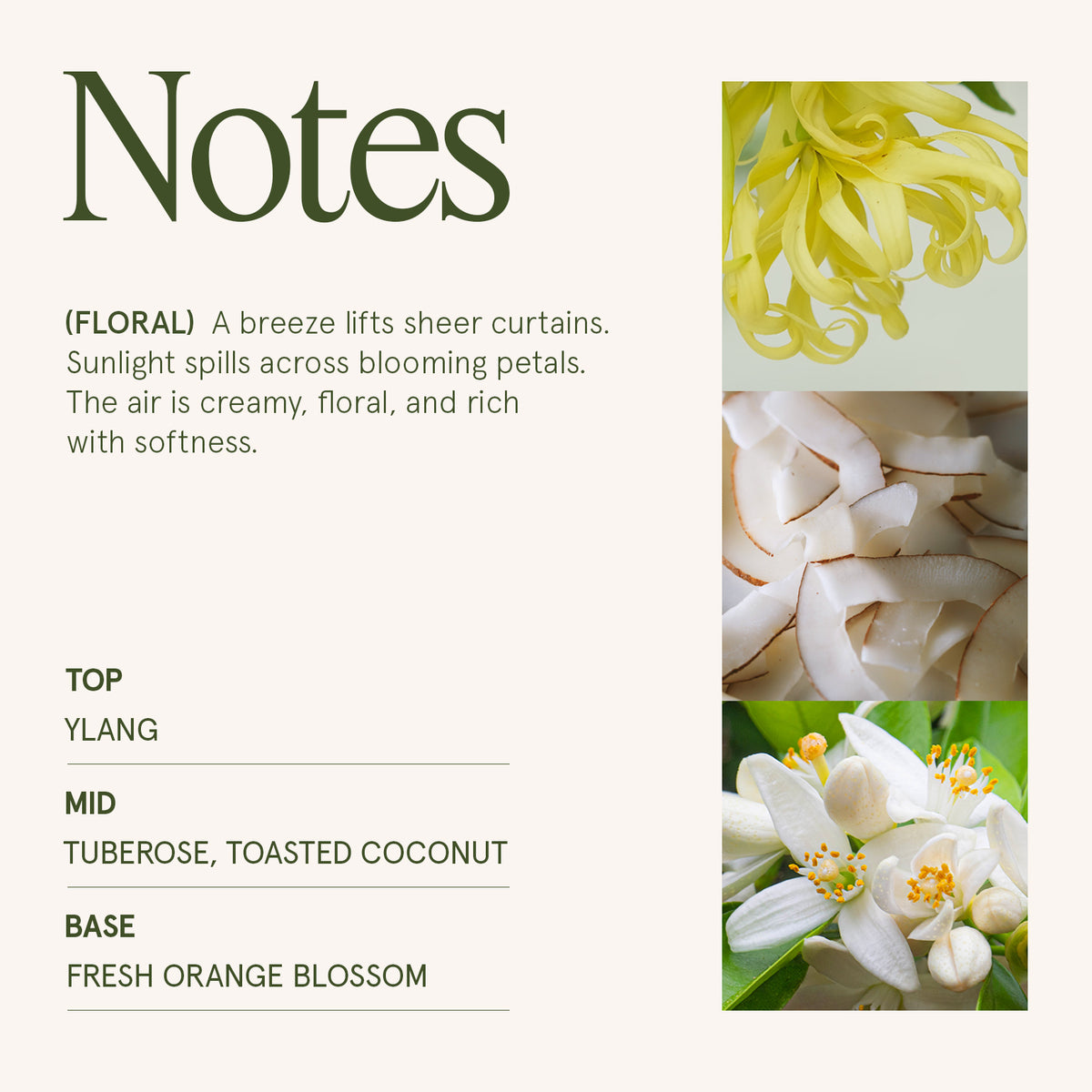 Marvella - Champs de Tuberose 10oz Candle Candles Marvella_ChampsdeTuberose_PDP_10oz_4 La Jolie Muse