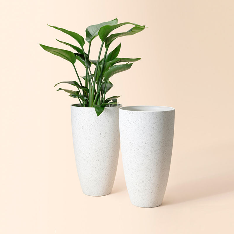 https://lajoliemuse.com/cdn/shop/files/Speckled-White-Tall-Pots-Two_a2f93e1b-0322-4fed-8ee1-8c5becca3863.jpg?v=1703670791