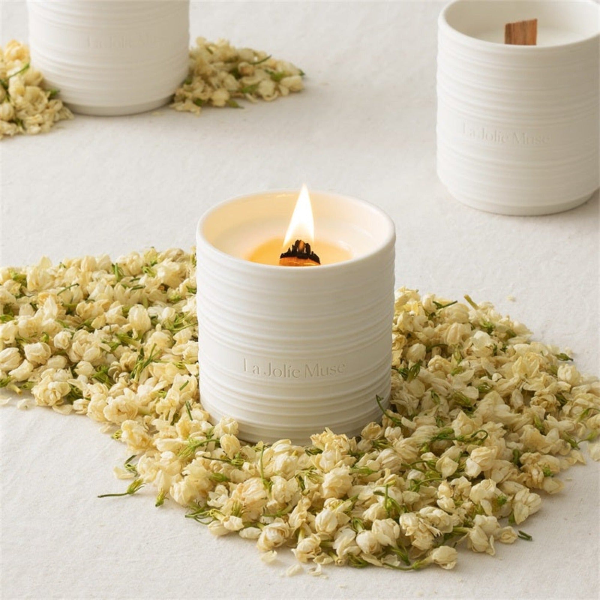 Photo shot of Lucienne - Jasmine Blossom 7.1 oz candles surrounded by full blooms of jasmine flowers