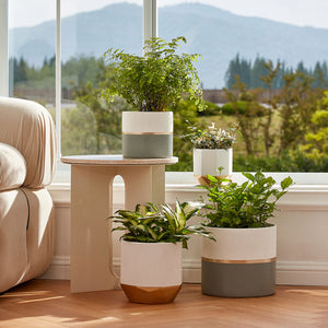 Four Aden gold and gray pots in different sizes are placed in front of the window. Our planter set is placed on the ground.