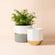 Each set contains 6.7-inch and 5.4-inch pots. The planters are made of ceramic and painted with grey and gold.