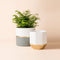 Each set contains 6.7-inch and 5.4-inch pots. The planters are made of ceramic and painted with grey and gold.