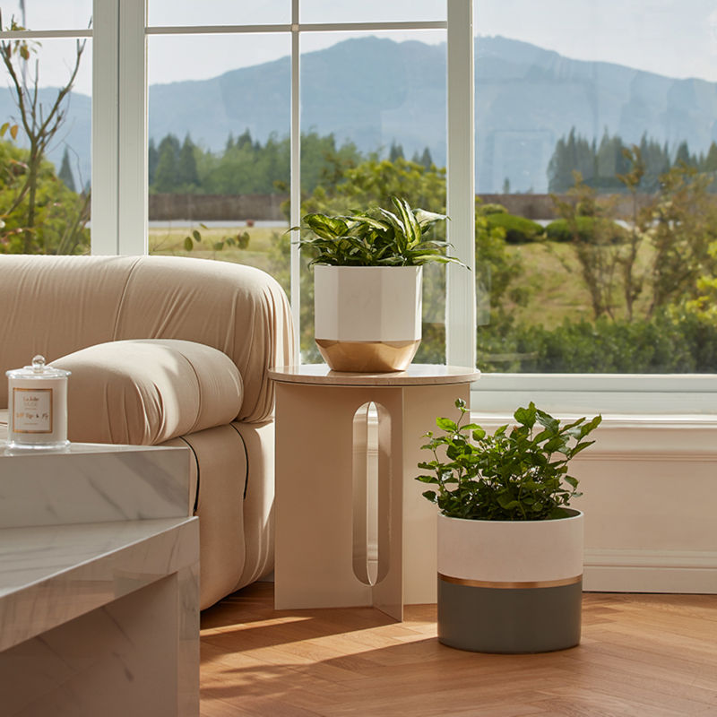 The ceramic planters with plants in them are placed in front of a window, next to a luxury sofa.