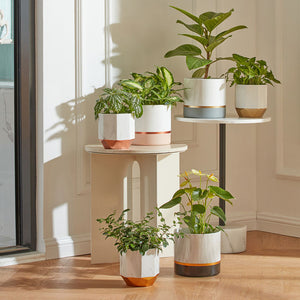 A set of two tall white planters is stands together in front of a white wall, one of which holds plants.