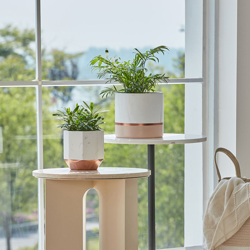 The two planters are displayed on the wooden coffee table, in front of the window.