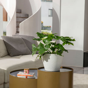 The white planter with plants in it is placed on a brown table, next to a sofa.