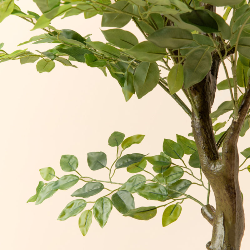 A photo showing the bendable branches and the lush leaves of the artificial ficus tree, made with premium plastic.