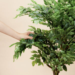 In the picture, a hand is picking the lush leaves of the artificial ficus tree, reflecting its bendable and flexible nature.