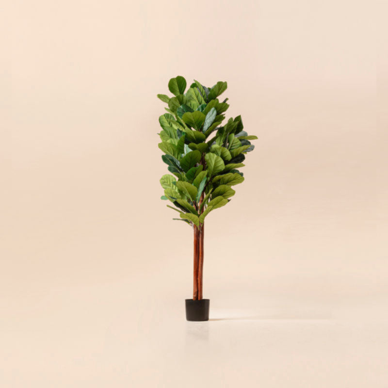 A front side photo of the 4.9 feet artificial fiddle tree, a lifelike decoration made with high quality plastic.