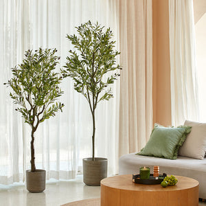 Two artificial olive trees line up in front of a window under a living room setting. The 4.9 feet olive tree is on the left.