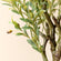 The picture shows the details of part of the plastic olive tree, including the realistic texture on the branches and leaves.