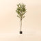The artificial olive tree in the picture is 5.9 feet in height, made with premium plastic.