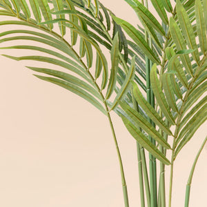 The picture closely shows the backside of the leaves on the faux palm tree, made with premium plastic.
