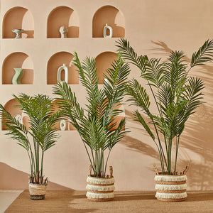 Three artificial palm trees line up in front of a decorated wall, including the small, 4.3 feet tree on the left.