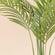The picture shows the detailed leaves of the 5.9 feet palm tree, reflecting the use of silk-like fabric. 