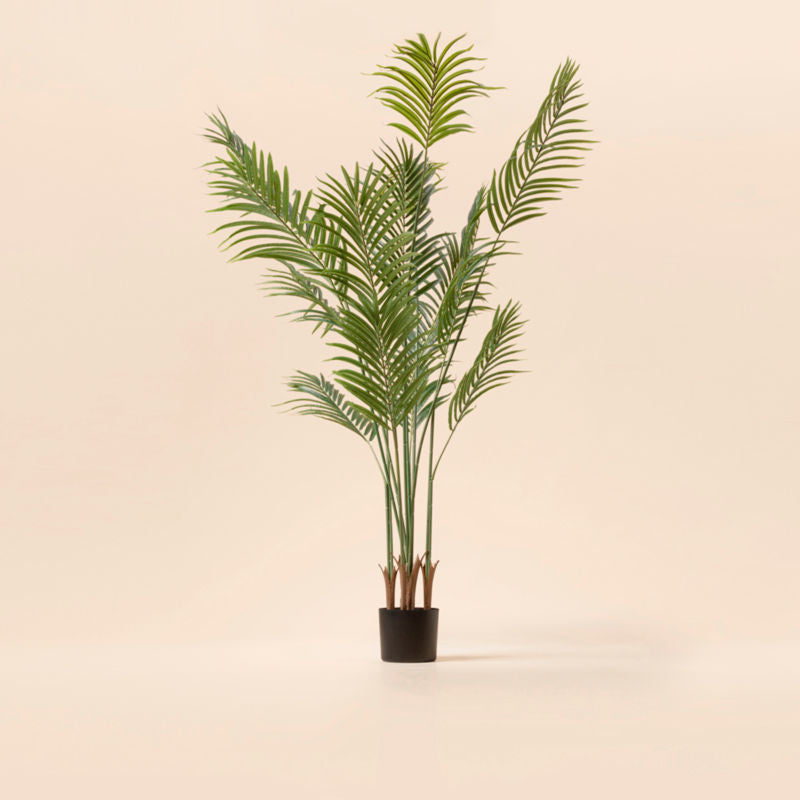 The picture shows a complete view of the 5.9 feet artificial palm tree, made with  premium plastic.