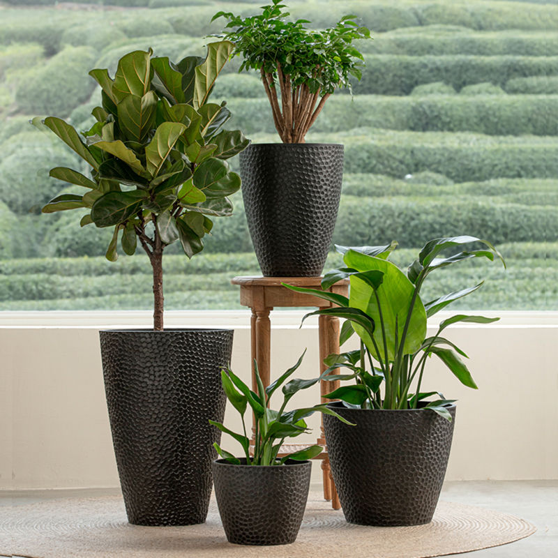 A series of four black planters are displayed in front of a huge window, including a 14.2-inch pot.