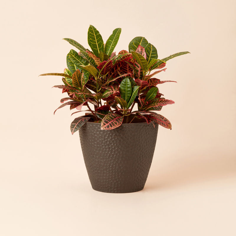 The 14-inch brown planter with a honeycomb pattern holds flowers in it.