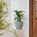 A plastic gray pot is placed on a connected  plant stand closer to the doorway.