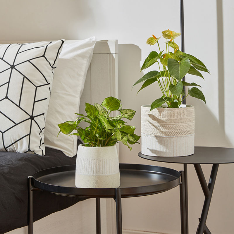 Two Allen ceramic pots placed on nightstands next to a bed, displaying leafy green plants.