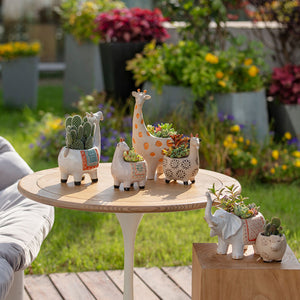 Six small planters in different animal shapes are placed in an outdoor space. The cow shape pot is displayed on a small wooden chair.