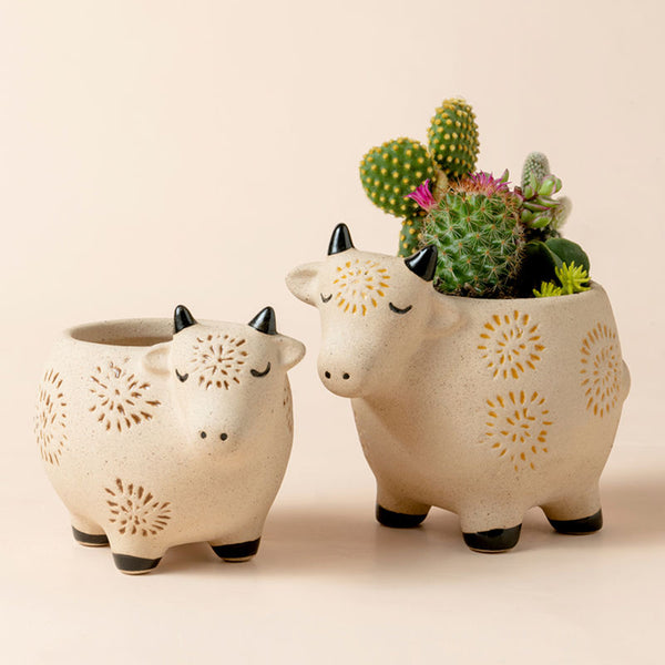 https://lajoliemuse.com/cdn/shop/products/Beige-Cow-Succulents-Pots_grande.jpg?v=1641806328