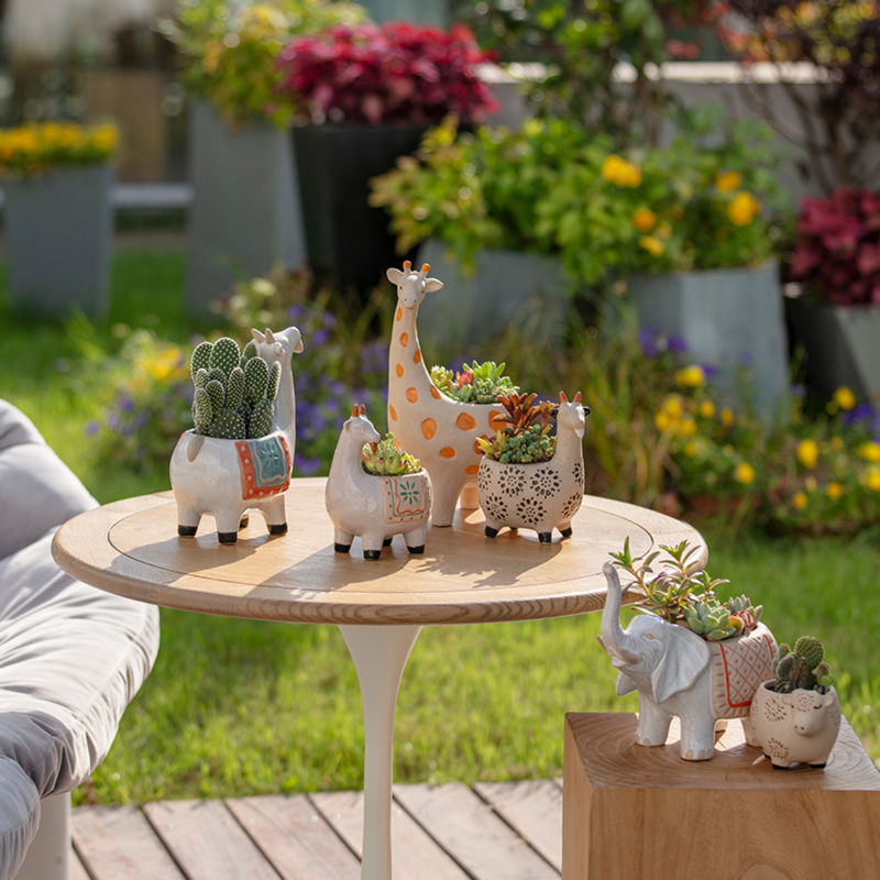 A series of animal-like pots designed for succulent plants are displayed in a backyard, including a pair of giraffe pots.