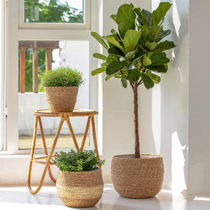 Three woven planters in different sizes are displayed at the corner of a white wall and a French window.
